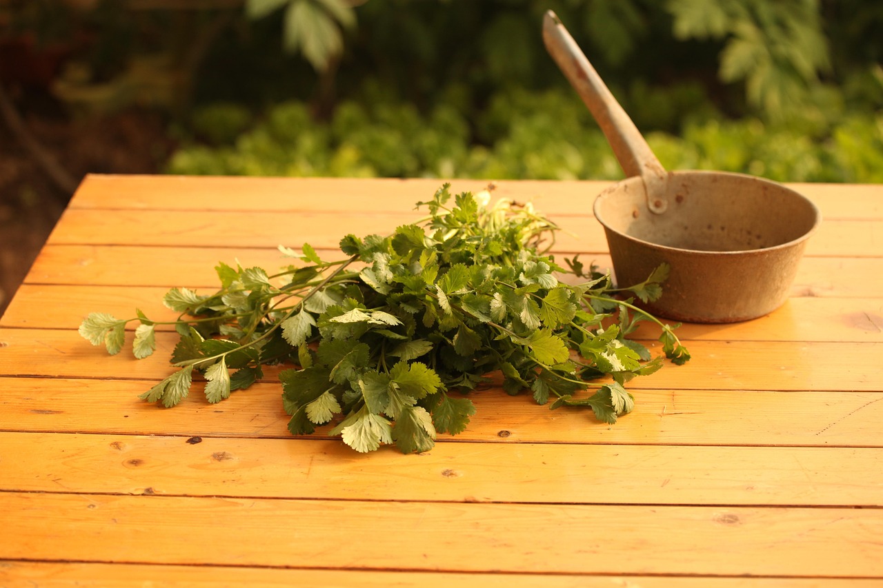 vegetable-753292_1280