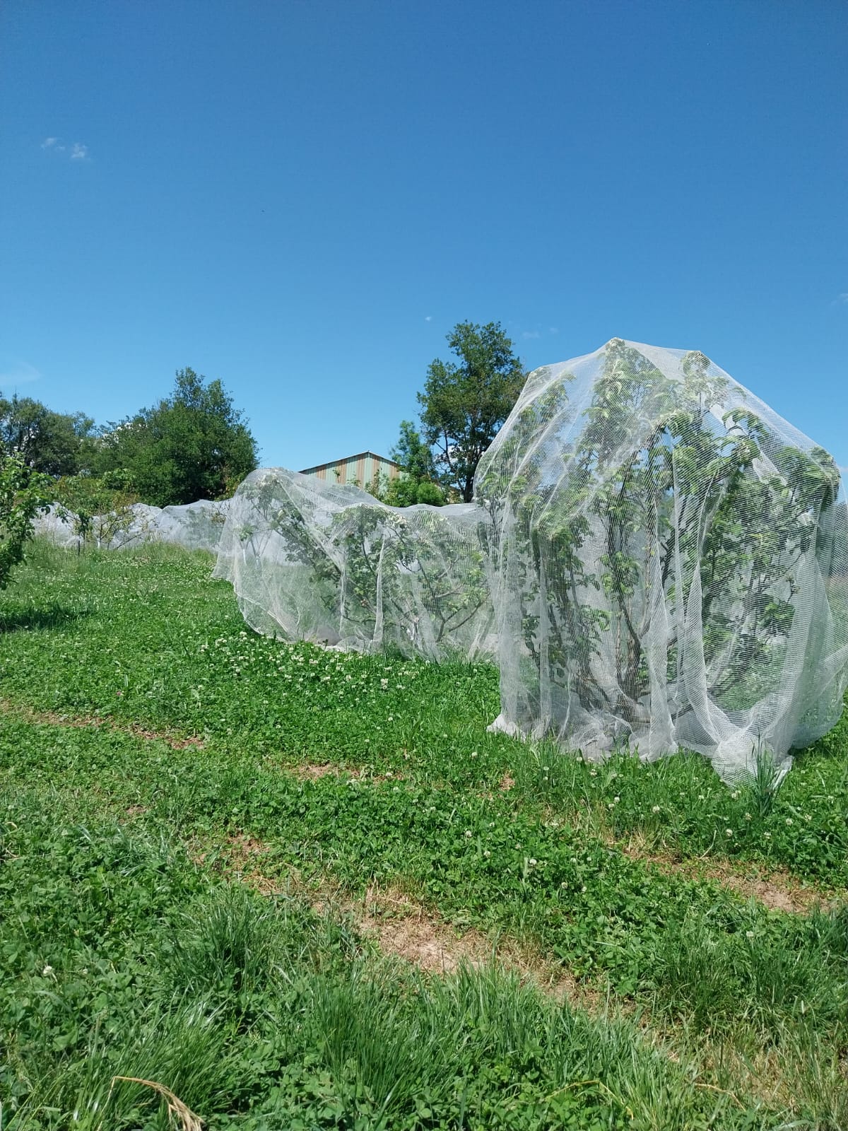 PHOTO-2025-06-11-18-28-54